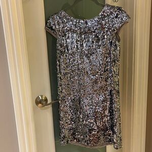 Banana Republic Silver Sequin Dress